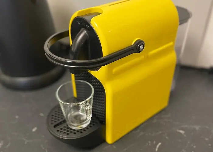 Cosy En Plein Centre - 2 Guests * コルマール